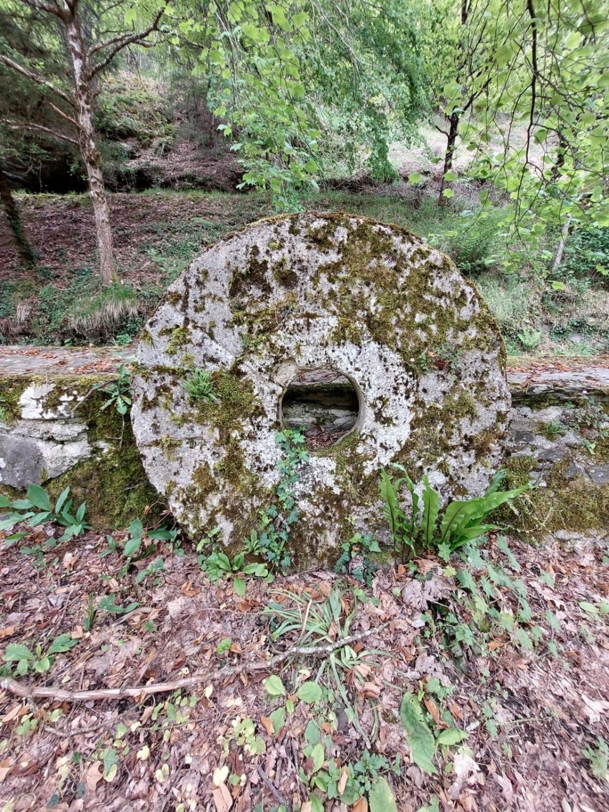 Moulin De Serre Cassagnes-Begonhes ภายนอก รูปภาพ